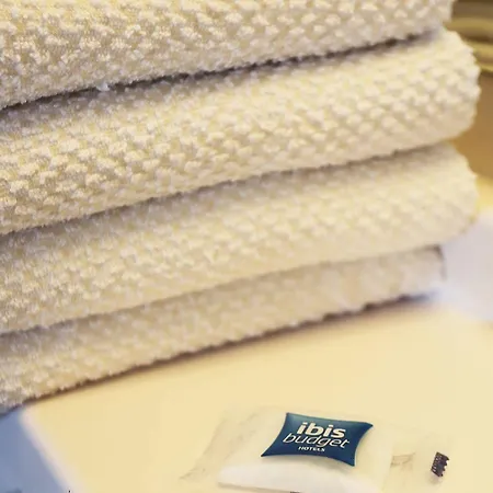 Ibis Budget Centre Hotel Tolón